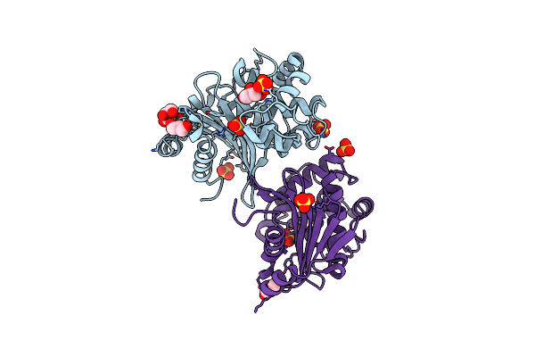 5HFO image