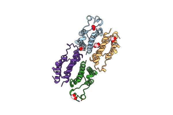 5HFR image