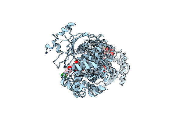 5HG1 image