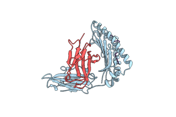 5HGH image