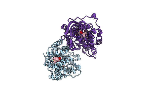 5HGR image