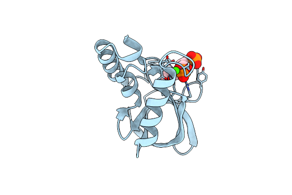 5HGT image
