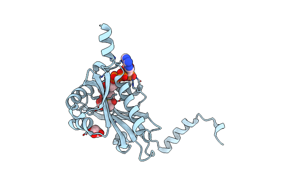5HGZ image