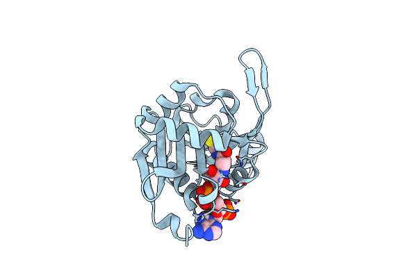 5HH0 image
