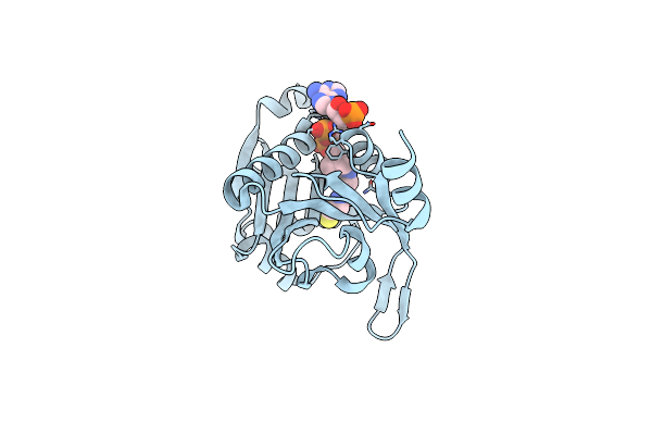5HH1 image
