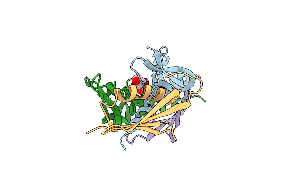 5HHC image
