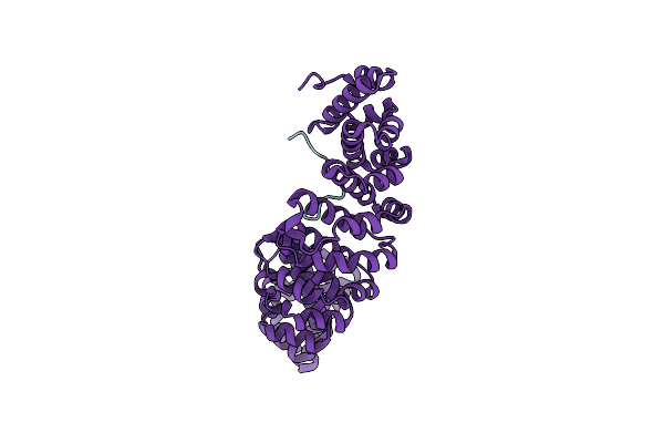 5HHG image
