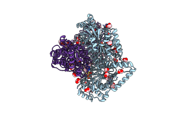 5HHT image