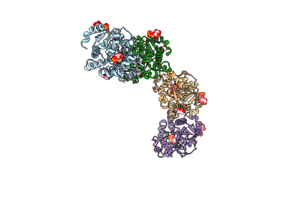 5HJ5 image