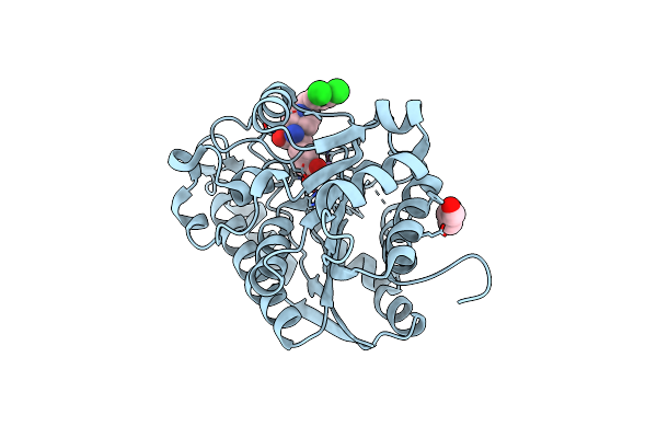 5HJA image