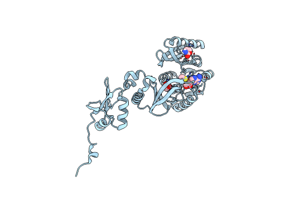 5HJM image