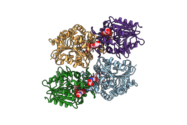 5HKB image
