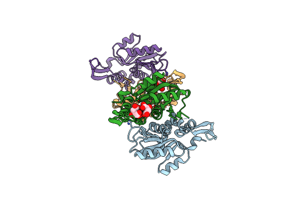 5HKI image