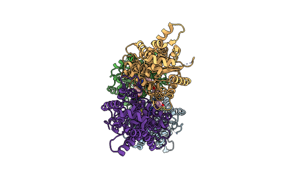 5HL1 image