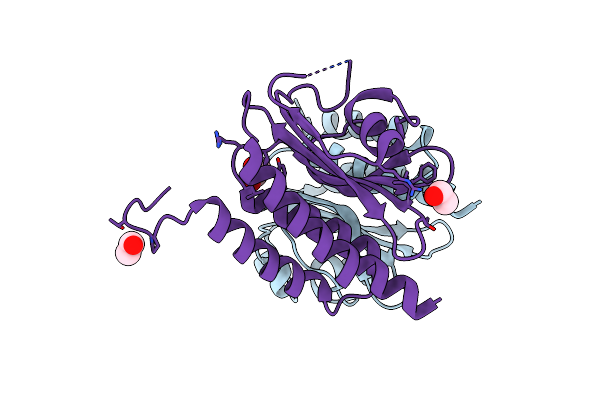 5HL6 image