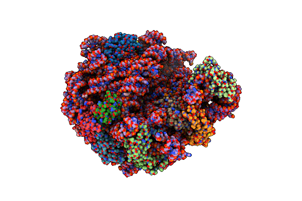 5HL7 image