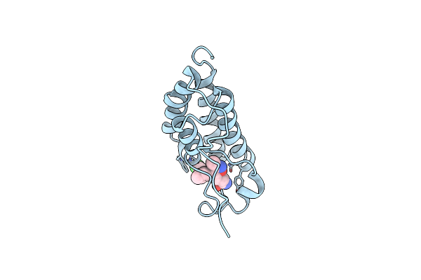 5HLS image