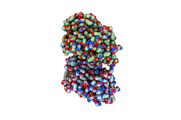 5HLT image