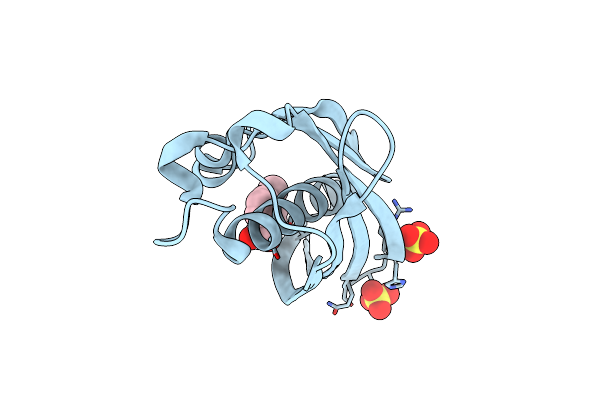 5HMC image