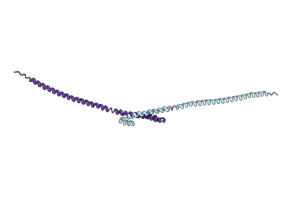 5HMO image