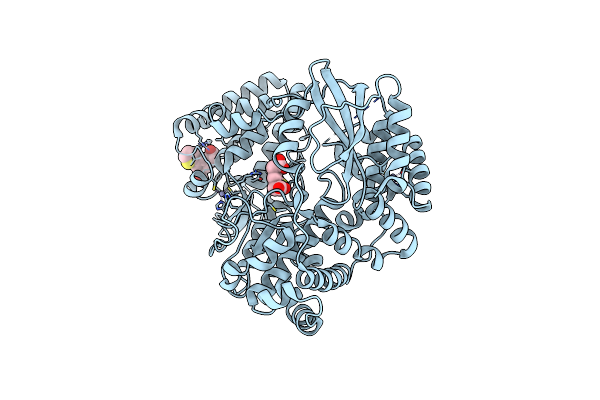 5HMX image