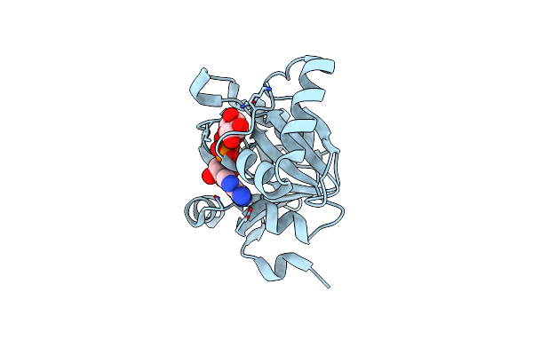 5HOL image