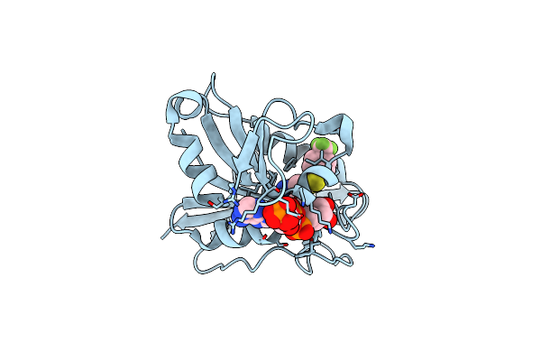 5HPB image