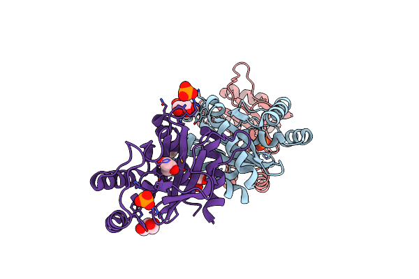5HPF image