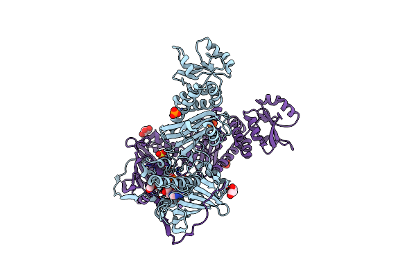 5HPH image