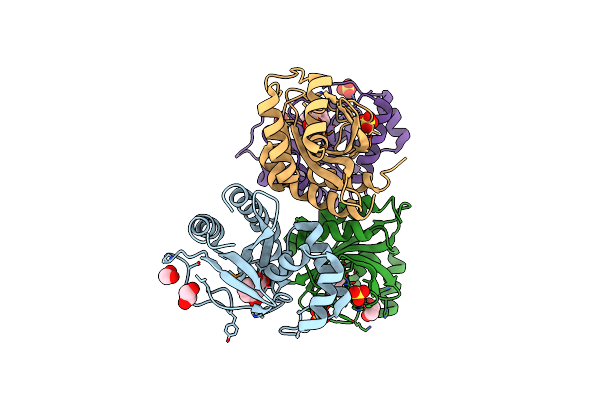 5HPI image