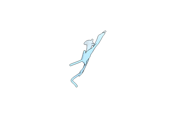5HPP image