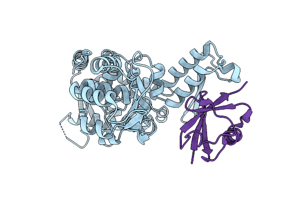 5HPS image