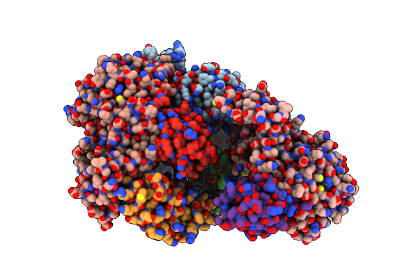 5HPT image