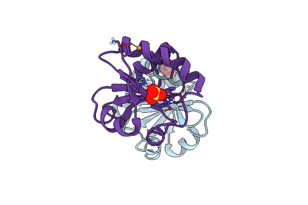 5HR3 image