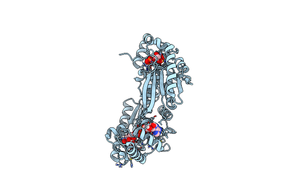 5HR5 image
