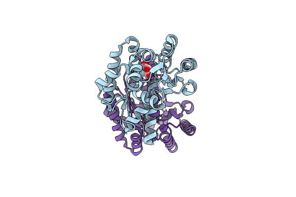 5HRA image