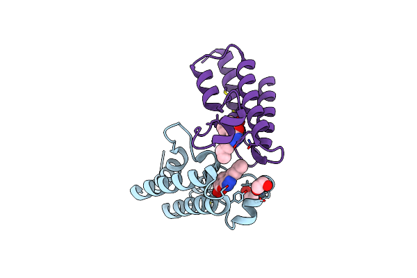 5HRX image