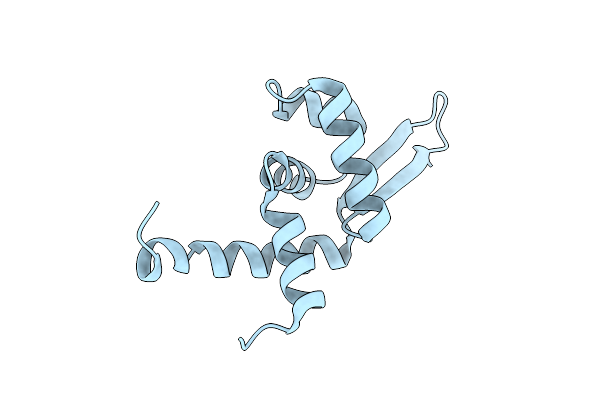 5HS8 image