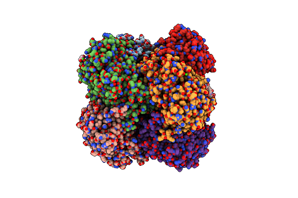 5HSA image