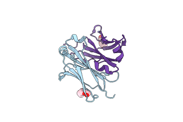 5HSF image