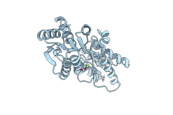 5HSG image