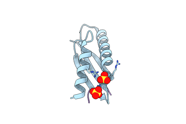 5HSP image