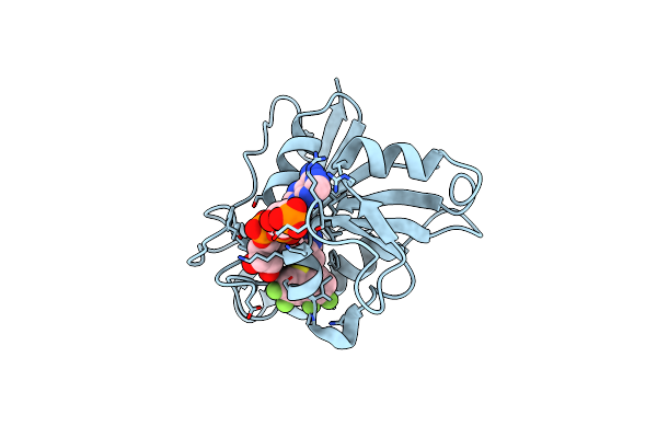 5HSR image