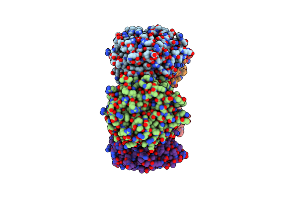 5HSS image