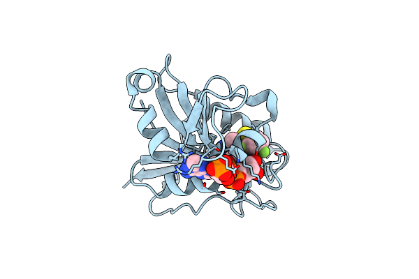 5HSU image