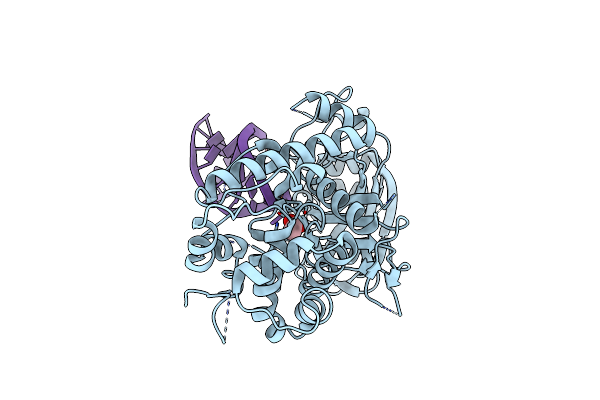 5HSW image