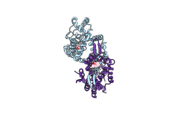 5HTF image