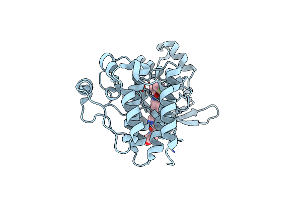 5HTI image