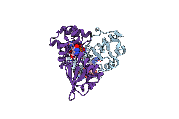 5HTL image