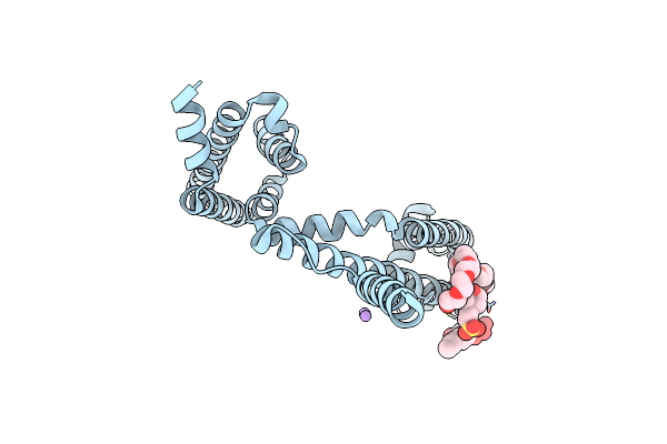 5HVD image